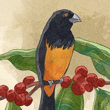 Coffee with watercolor