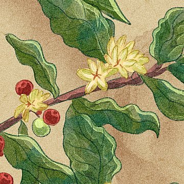 Coffee with watercolor